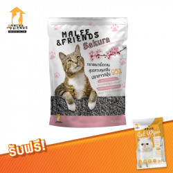 Malee & Friends ทรายแมวเบนโทไนต์ เม็ดกลม กลิ่นซากุระ ขนาด 10 ลิตร 3 ถุง แถมฟรี ทิชชู่แมว 1 ห่อ, ไลฟ์สไตล์ (Lifestyle)