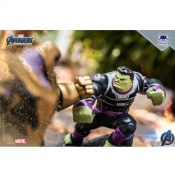 Hulk ฟิกเกอร์สะสม Toylaxy คาแรคเตอร์จาก Marvel's Avengers : Endgame (1st Wave)